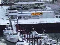 Whale Watching Depoe Bay 